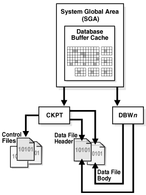 What is Oracle Databse - CKPT or CheckPoint process What is Oracle Databse - CKPT or CheckPoint process