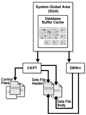 What is Oracle Databse - CKPT or CheckPoint process