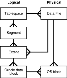 Logical and Physical Storage Logical and Physical Storage