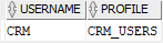 Oracle CREATE PROFILE - profile of crm user